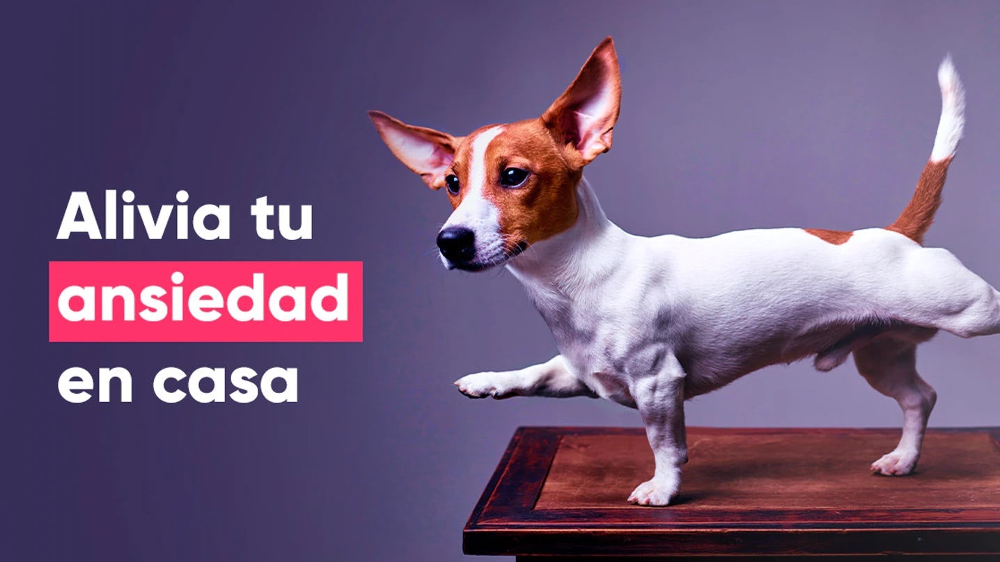 reestructuracion-cognitiva-recurso