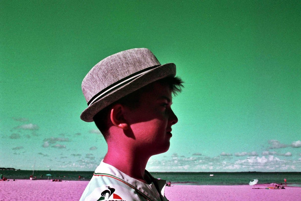 lomografia-purpura-violeta-morado