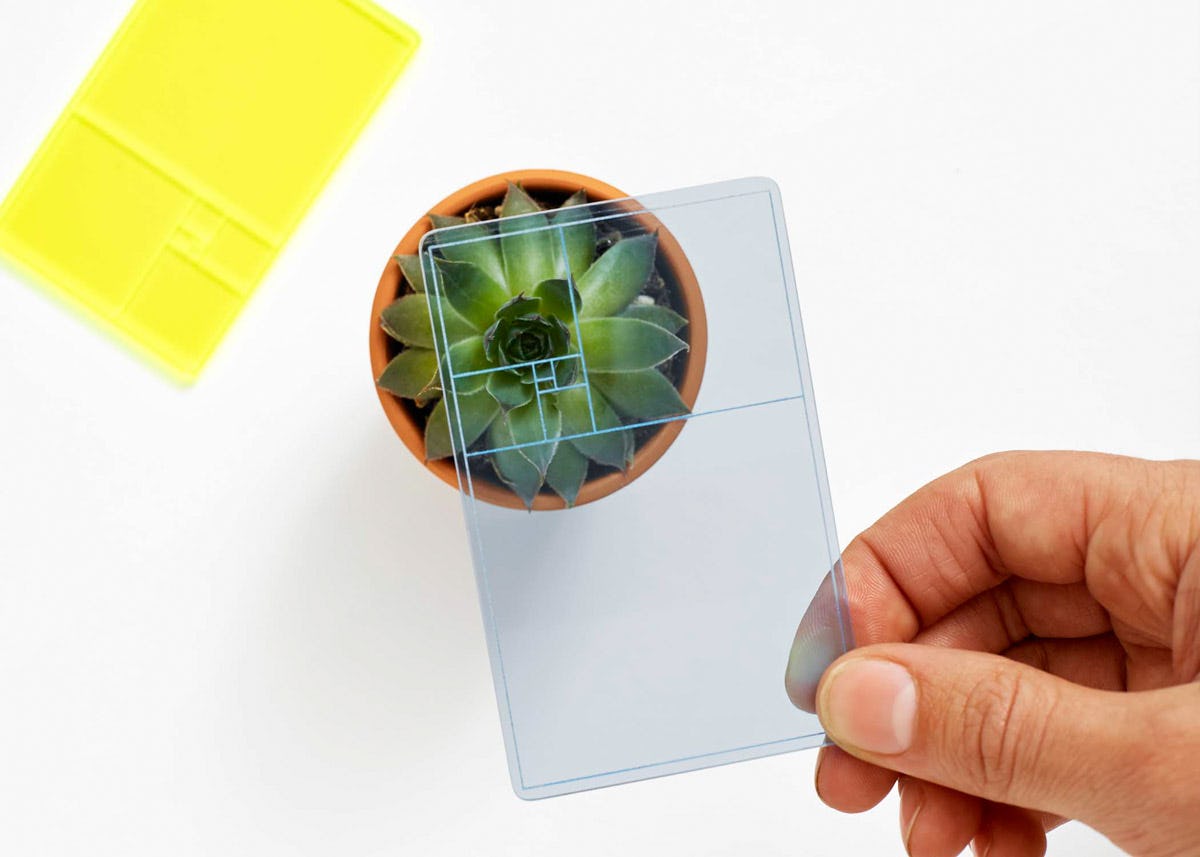 tarjeta espiral de fibonacci