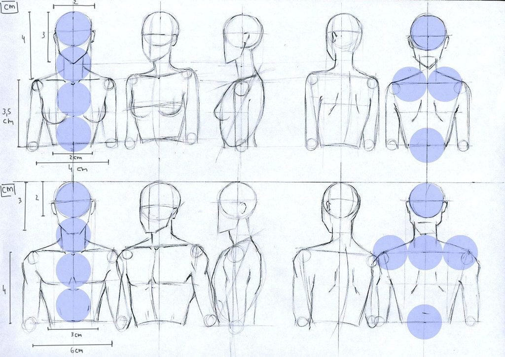 ️¿Cómo Dibujar El Cuerpo Humano? Guía + Recursos [2021] | Crehana