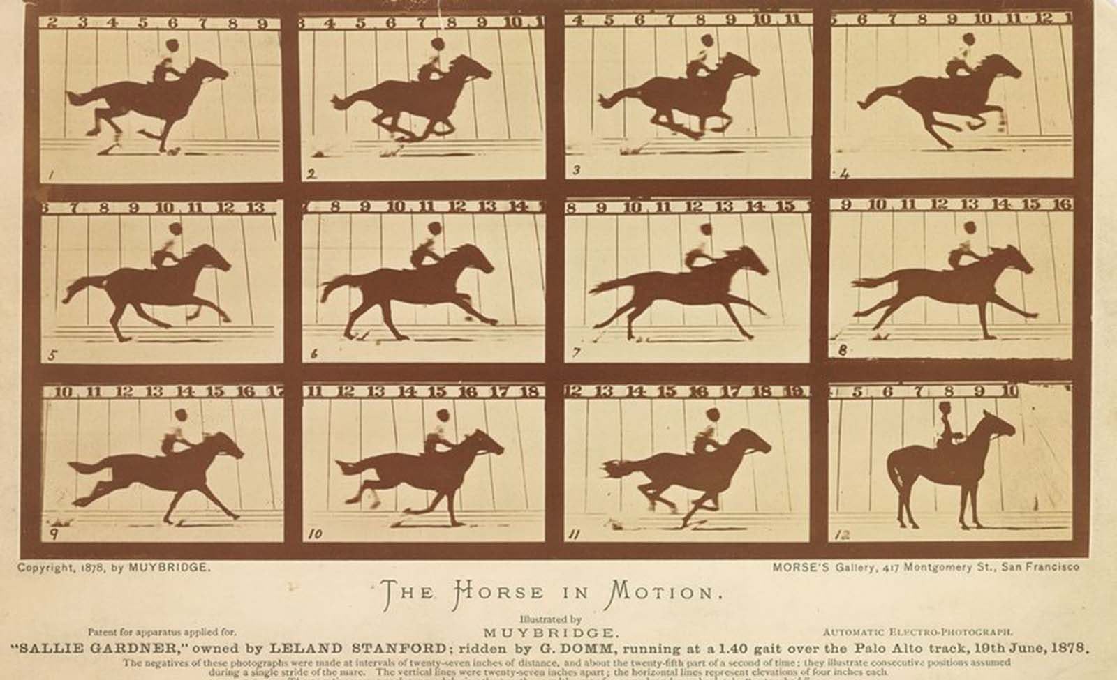 secuencias de un caballo fotos