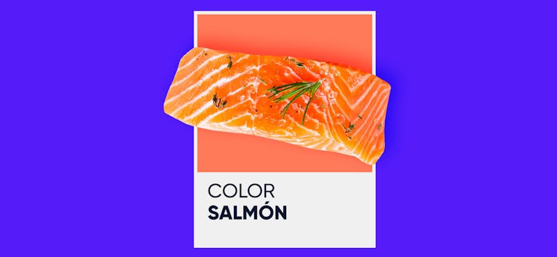 Aprende cómo hacer color salmón y dale elegancia a tus proyectos