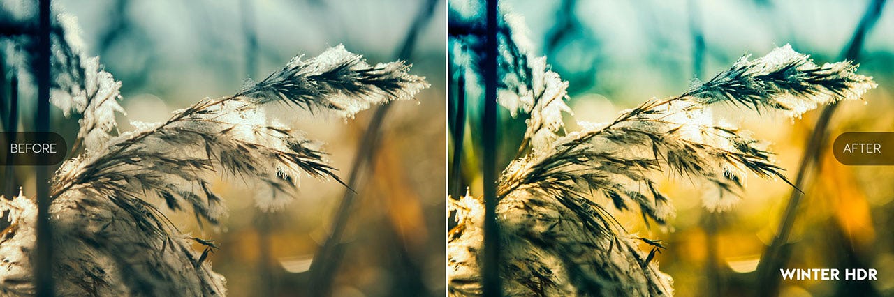 free lightroom presets