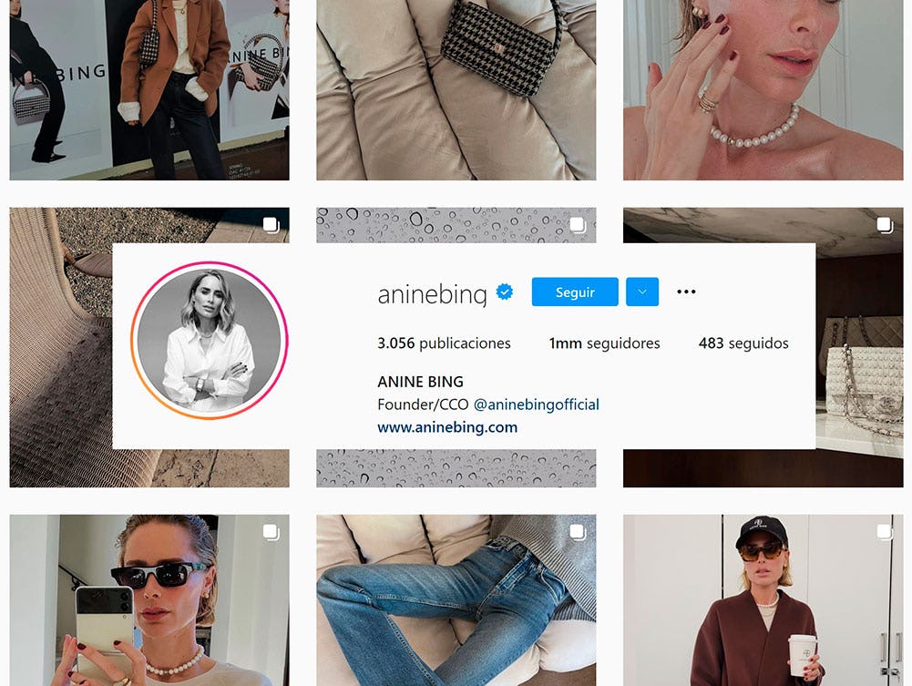 blogs de moda anine bing