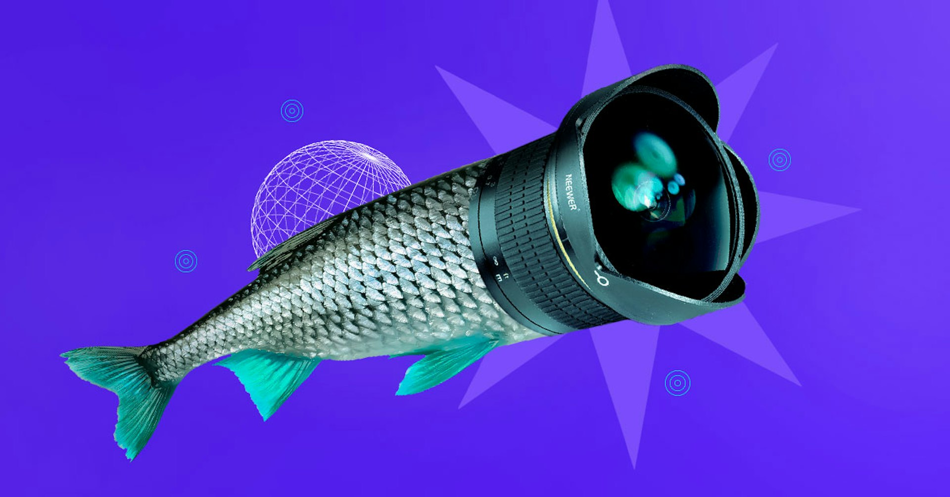 Lente ojo de pez: Ideas insuperables para sacar las mejores fotos