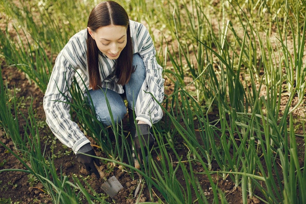 mujer enterrando una planta en un huerto