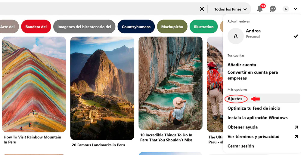 eliminar cuenta de pinterest paso 2