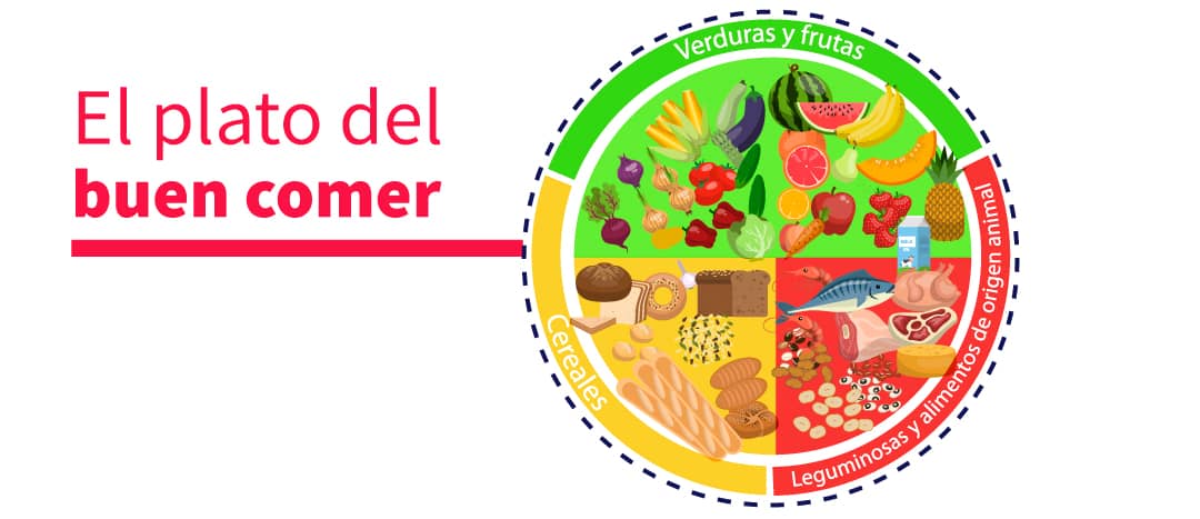 🥕 Plato Del Buen Comer | Guía De Alimentación Saludable | Curso | Crehana