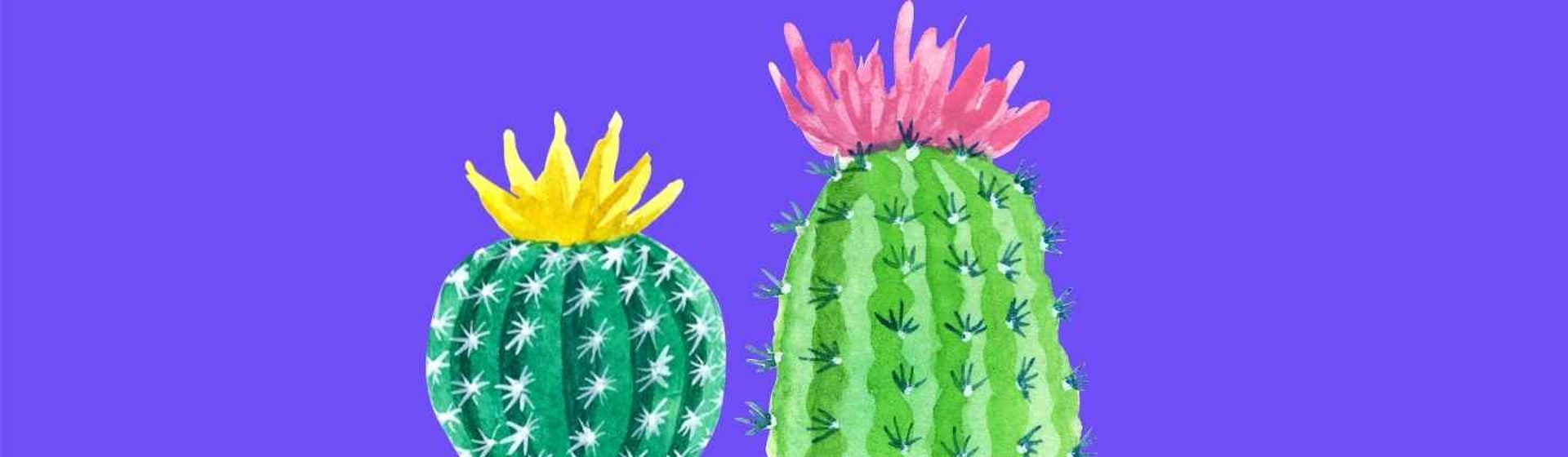 ¿Cuánto sabes de cactus y suculentas? Datos que no conocías sobre estas plantas de moda