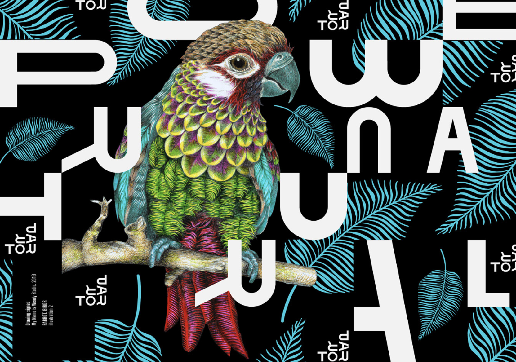 vector diseño grafico loro