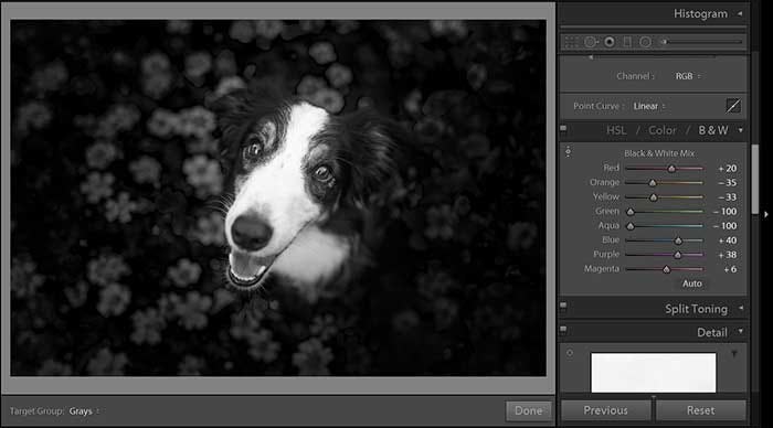 ¿Cómo editar fotos en blanco y negro en Lightroom?