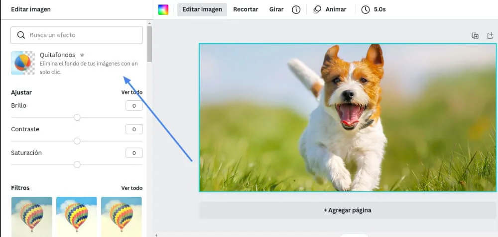 Como eliminar el fondo de una imagen con Canva