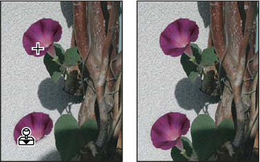 tampón de clonar Photoshop para restaurar fotos dañadas