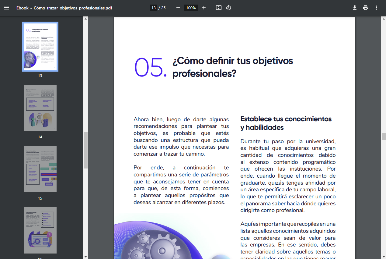 ebook objetivos profesionales