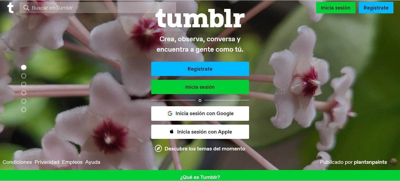 Pagina de inicio red social Tumblr