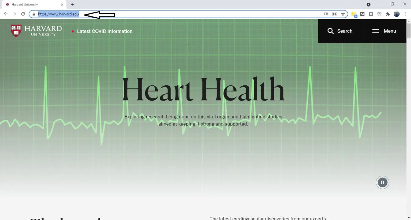 ejemplo de dominio web .edu