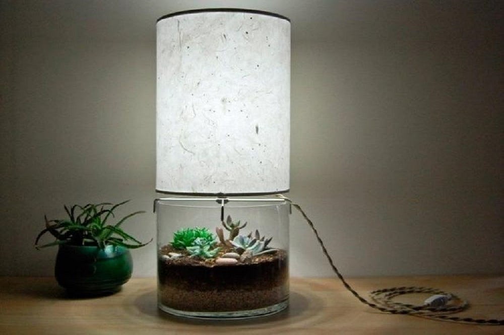 lámpara terrario
