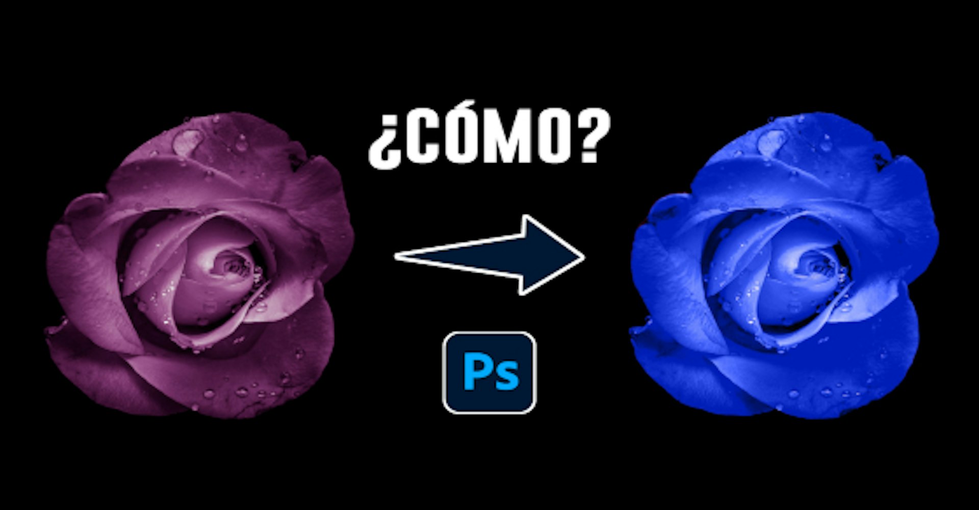 ¿Cómo cambiar el color de una imagen en Photoshop? ¡Dale un nuevo look a tus fotos!