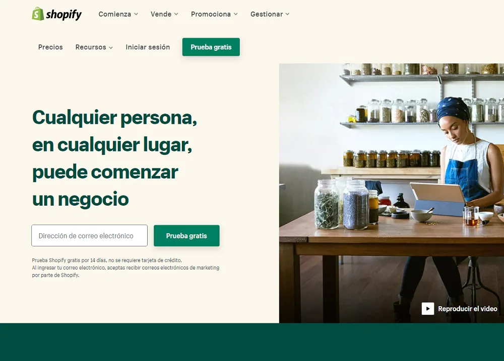 shopify interfaz