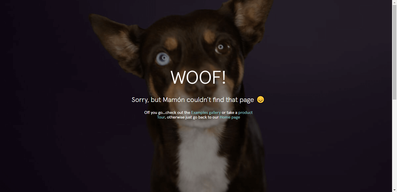 perros en paginas de error 404