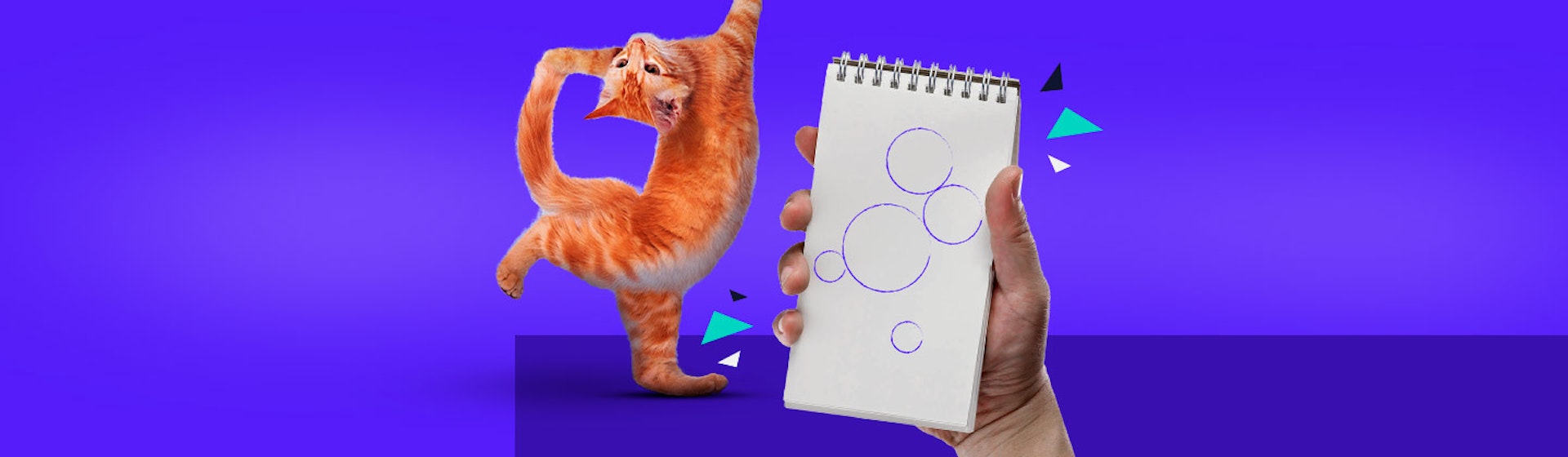 ¿Cómo dibujar un gato realista? Es así de fácil con estos tips que te convertirán en artista