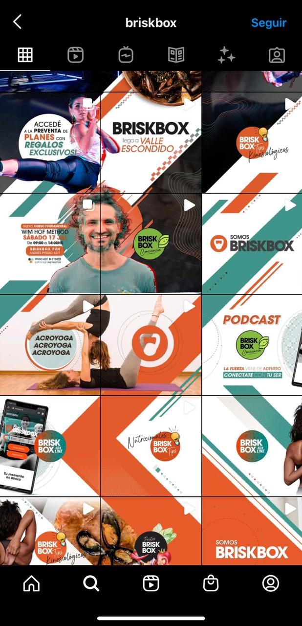 feed de instagram para empresas