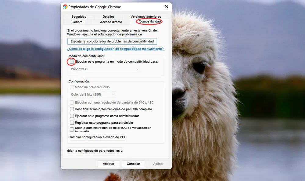 ejecuta otra versiión para la pantalla negra