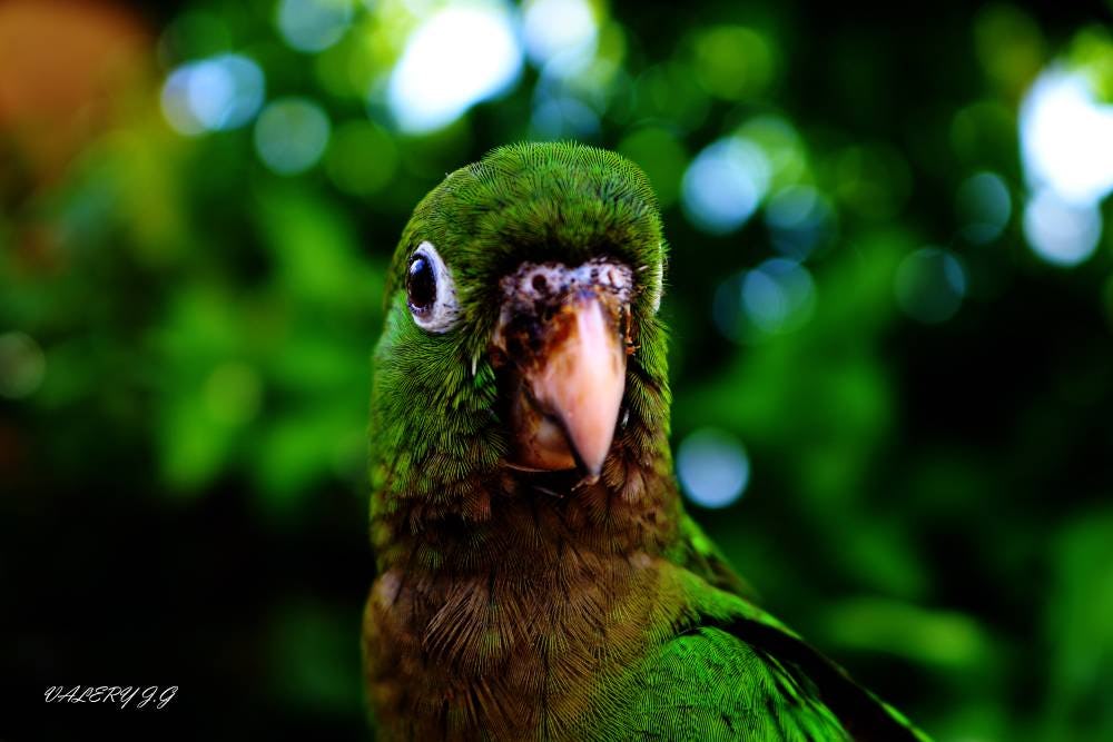 Click el tiempo se detuvo - proyecto Crehana