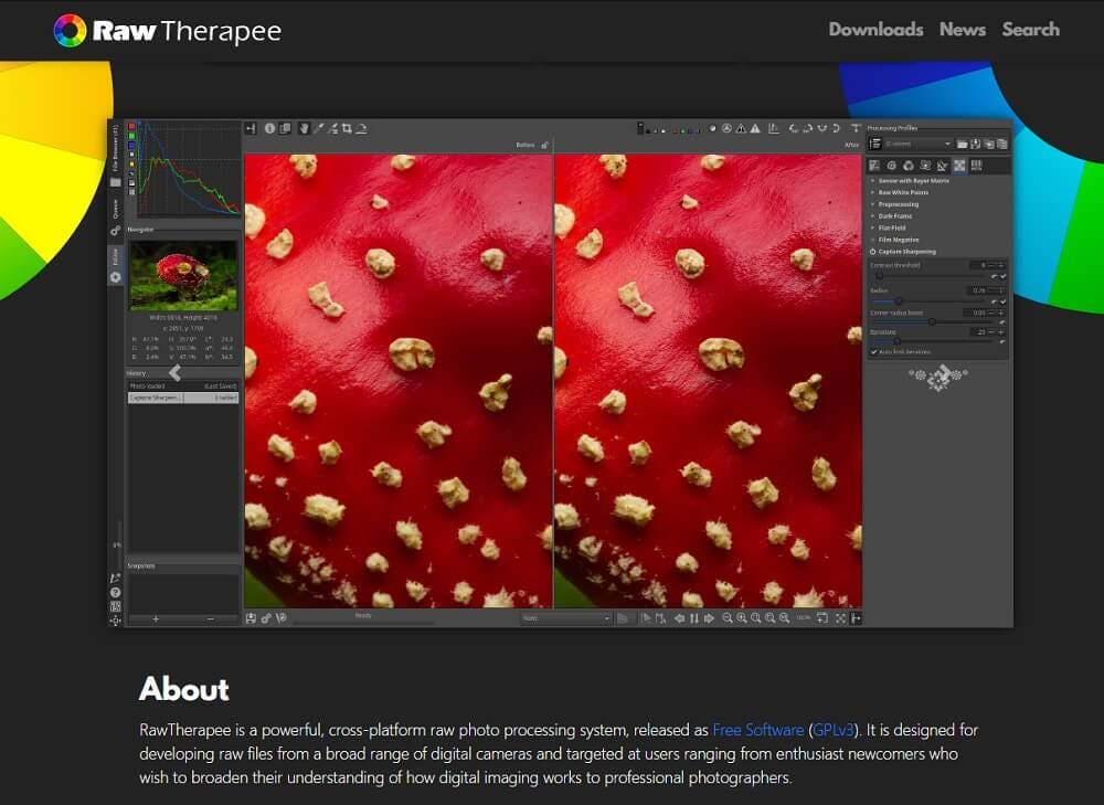 rawtherapee edicion de fotos