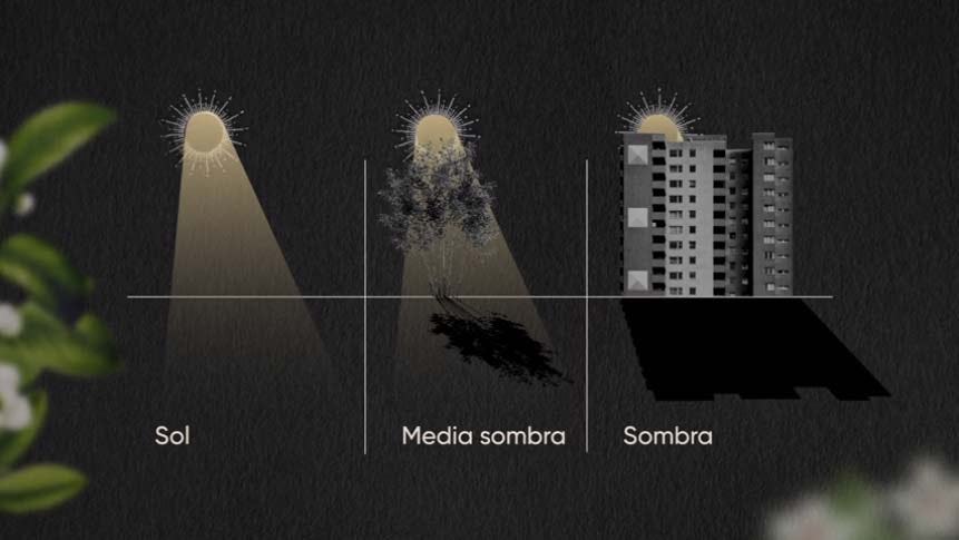 curso online de jardinería casera