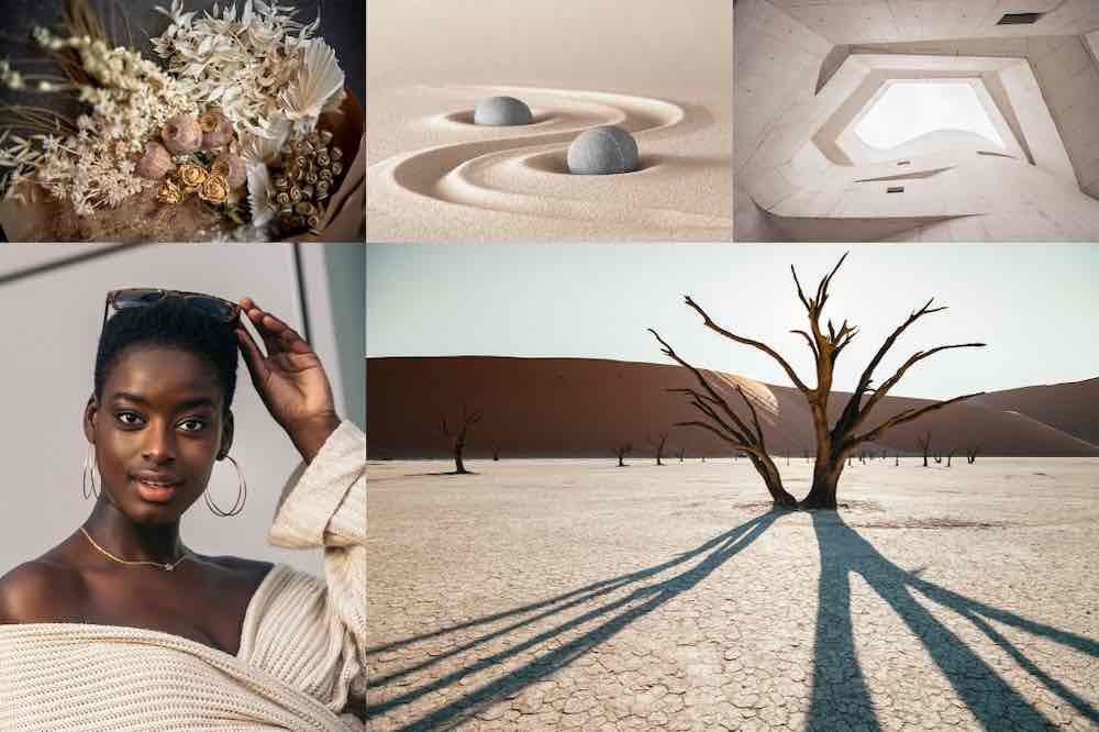 Colores en tendencia Set sail champagne