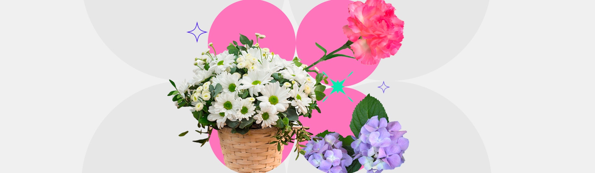 10 flores de jardín para decorar y darle color a tus áreas verdes