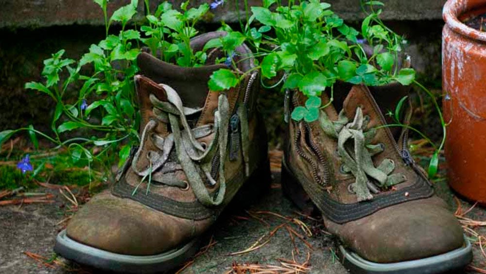 macetas con zapatos viejos