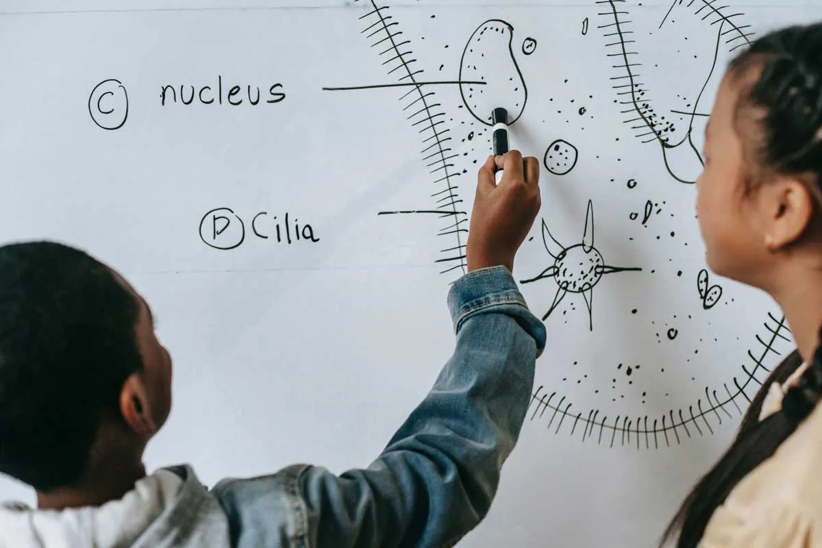 Microlearning ventajas y desventajas