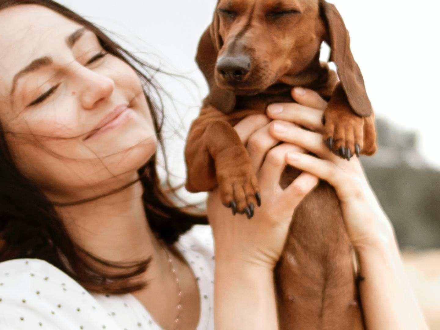 entrenamiento canino 