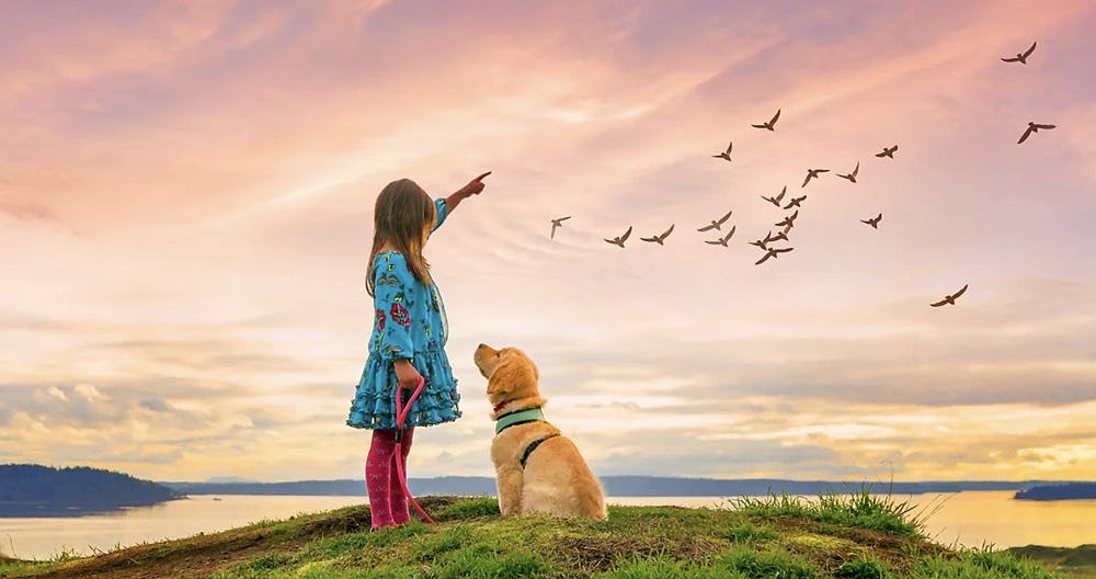 photoshop elements niña perro paisaje