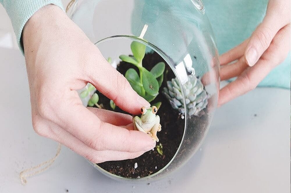 insertar figuras en los terrarios 