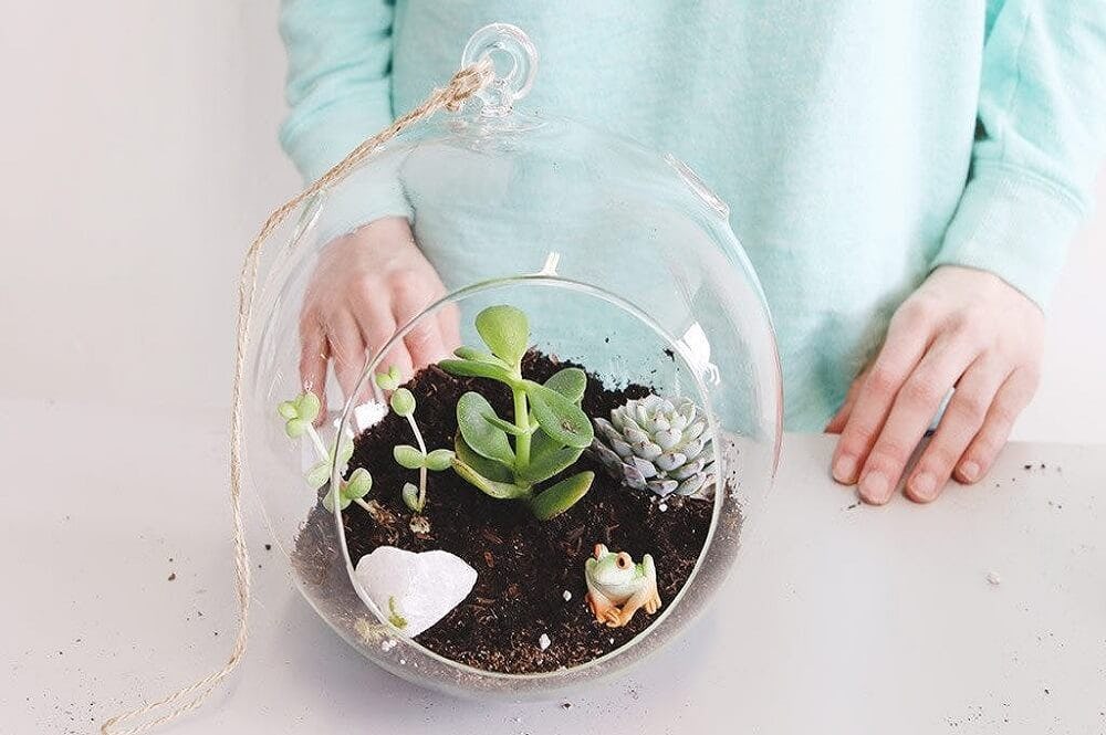 terrario colgante decorativo