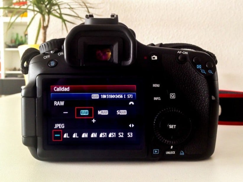 camara-raw.jpg (822×616)