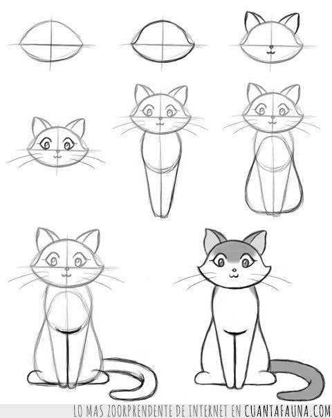 😺 ¿Cómo dibujar un gato paso a paso? [2021]