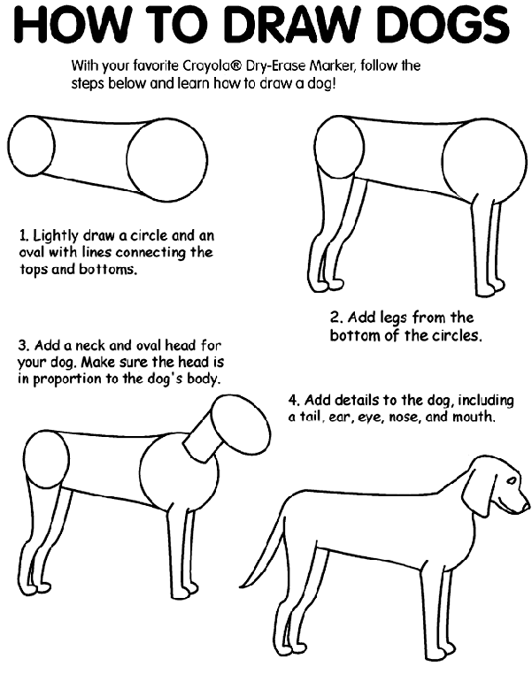 como dibujar perro realista