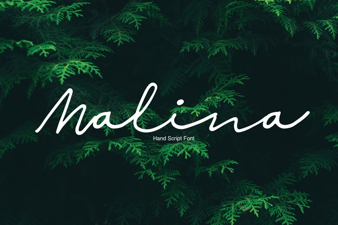 malina lettering font