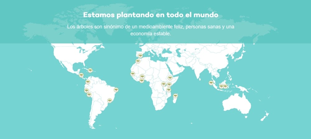 Lugares donde plantan árboles en Ecosia