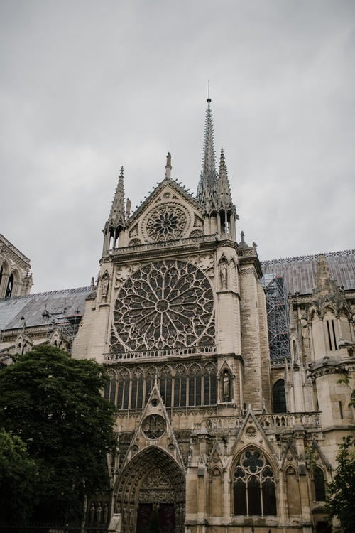 catedral de notre dame