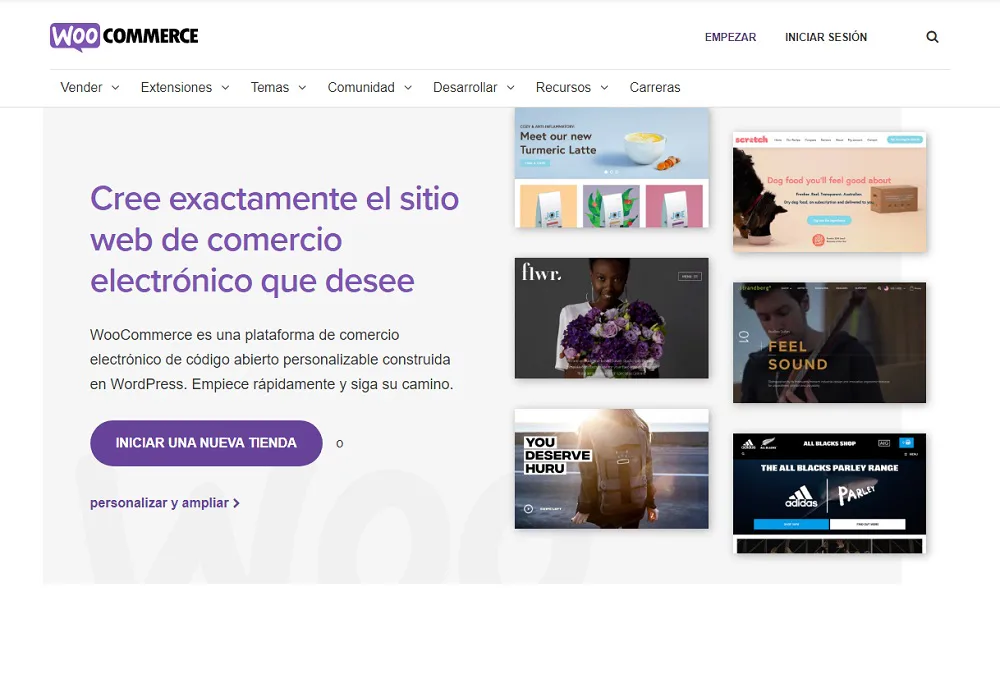 woocommerce interfaz