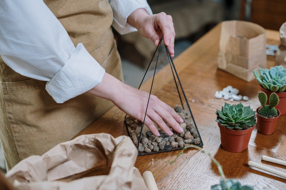 Guía para construir un terrario de plantas para decorar tu casa