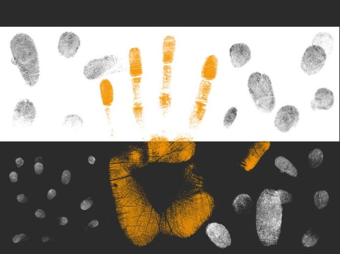 Fingerprint Brushes