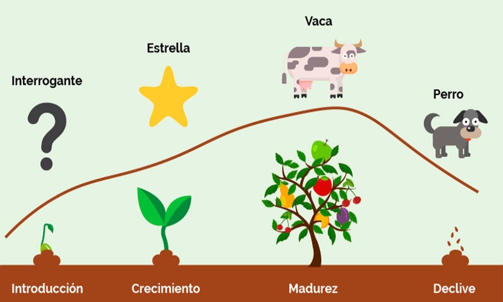 Ciclo de la vida de una matriz BCG