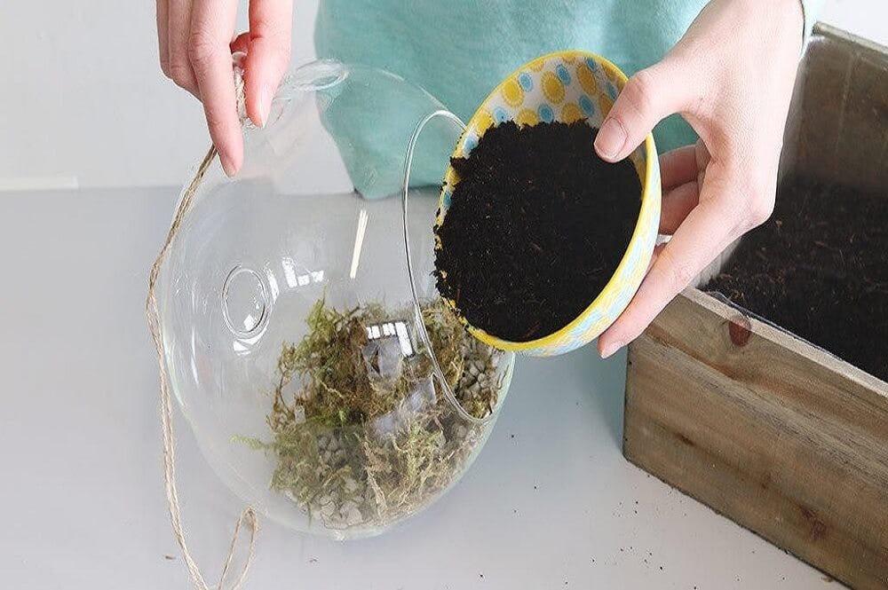 esparcir tierra en el musgo del terrario