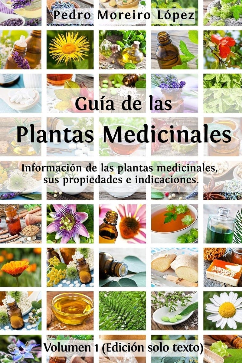 Delicioso Deliberar Vislumbrar 🌿 Plantas medicinales: ¿para qué sirven?